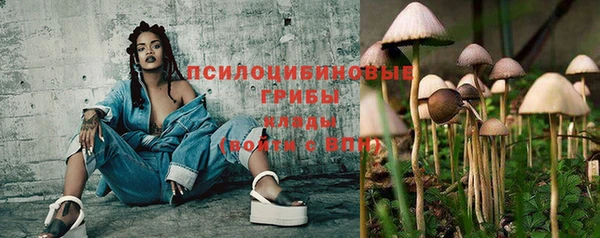ECSTASY Строитель