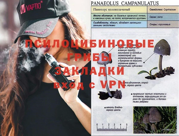 соль ск Ступино