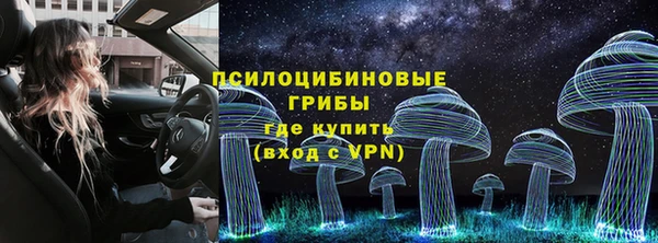 дурь Тайга