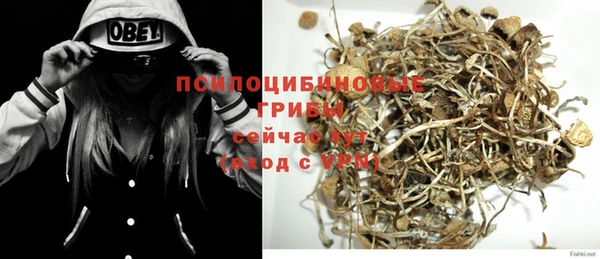 дурь Тайга