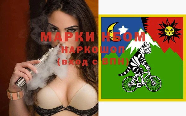 гидра Сясьстрой