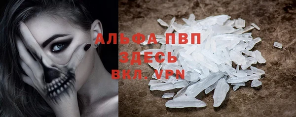 гидра Сясьстрой