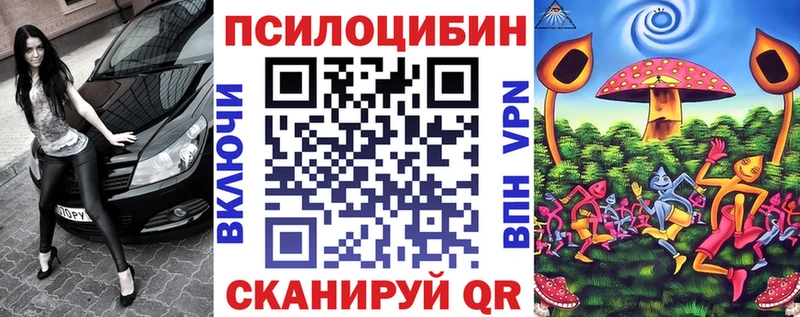 сколько стоит  Фурманов  KRAKEN зеркало  Псилоцибиновые грибы Magic Shrooms 