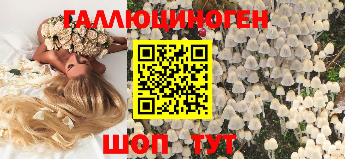 Галлюциногенные грибы Psilocybine cubensis  хочу   Фурманов  Вход с VPN 