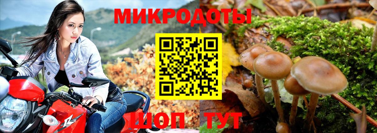 Псилоцибиновые грибы мицелий  Фурманов 